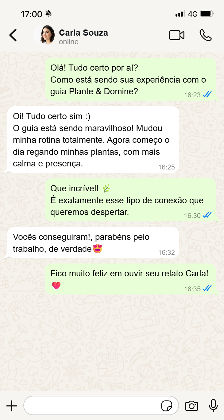 Conversa WhatsApp - Carla Souza